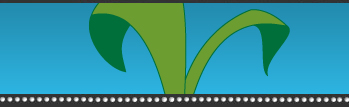 Kiamichi Ranch Logos